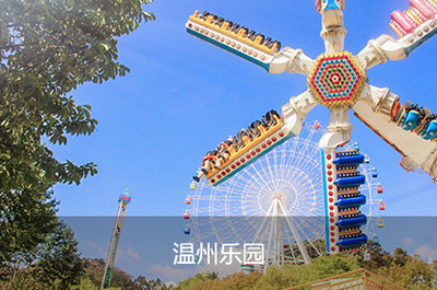 溫州網(wǎng)站建設(shè)與數(shù)字服務(wù)全指南 從網(wǎng)頁(yè)設(shè)計(jì)到APP開發(fā)